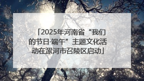 2025年河南省“我们的节日·端午”主题文化活动在漯河市召陵区启动